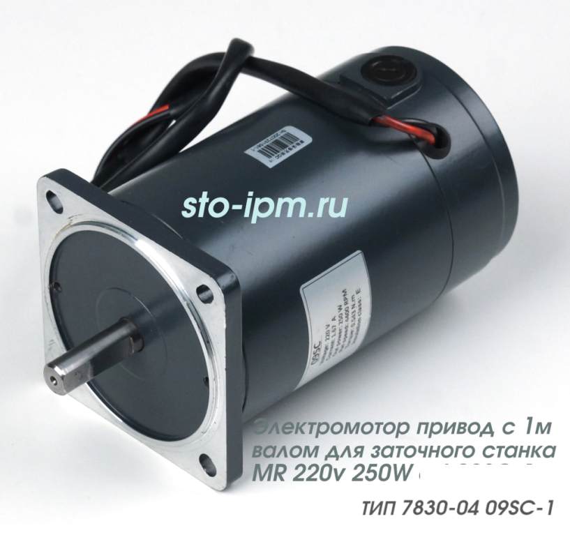 Мотор электрический станка заточного ТИП 7830-04 09SC-1 вид спереди